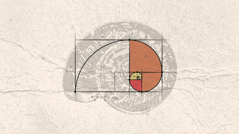 Eğitim Politikalarında “Altın Oran” OECD Ortalamaları mı?
