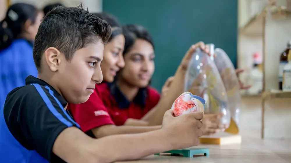 New Curriculum: A Visionary Step in Education Modernization