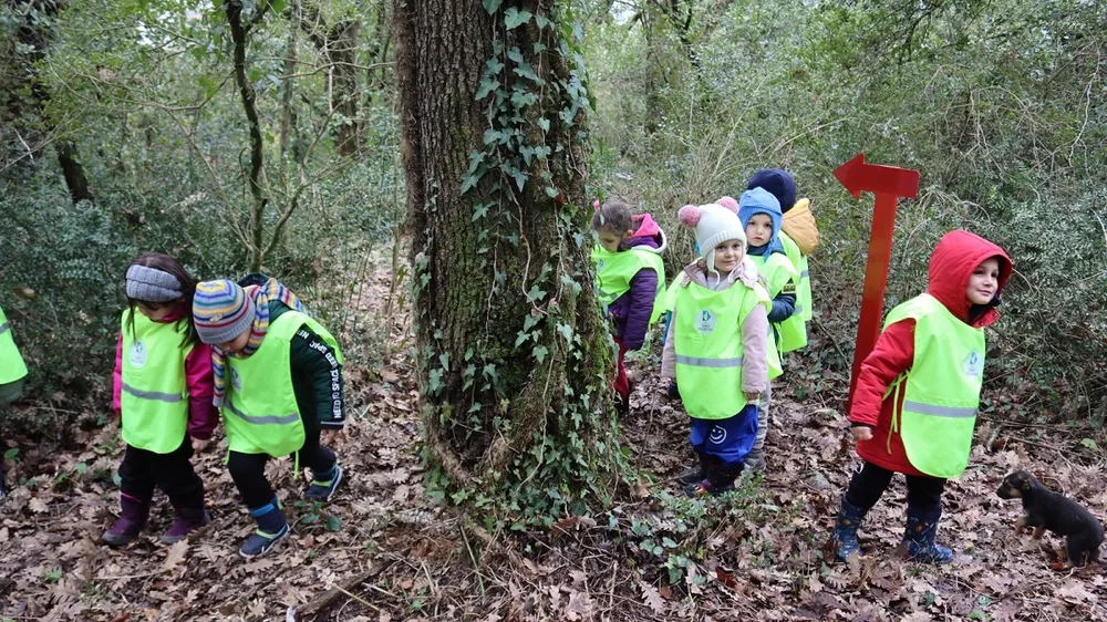 How To Meet A Tree: Exploring The Benefits Of Outdoor, Experiential Learning