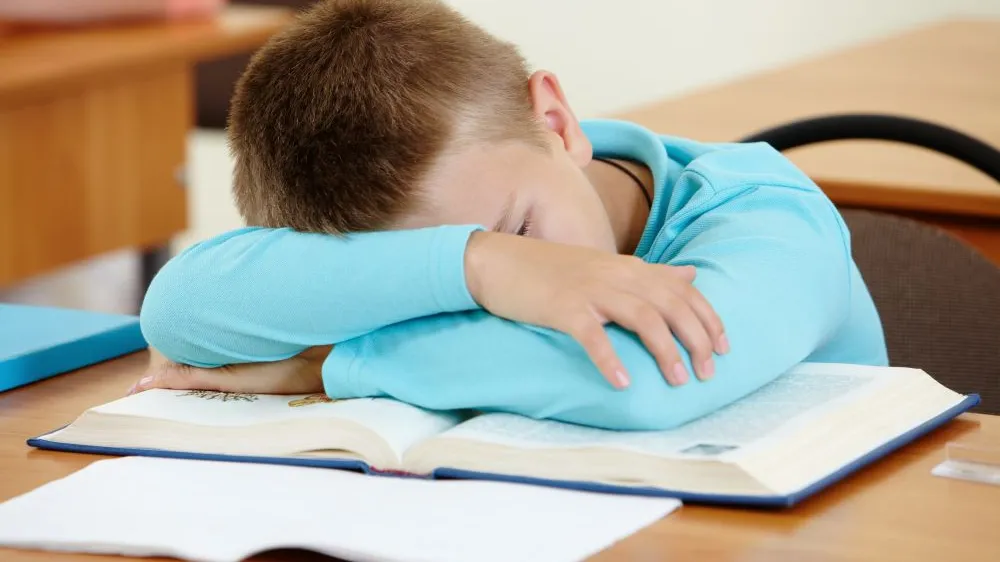 The Impact of Children's Sleep Patterns on Academic Success