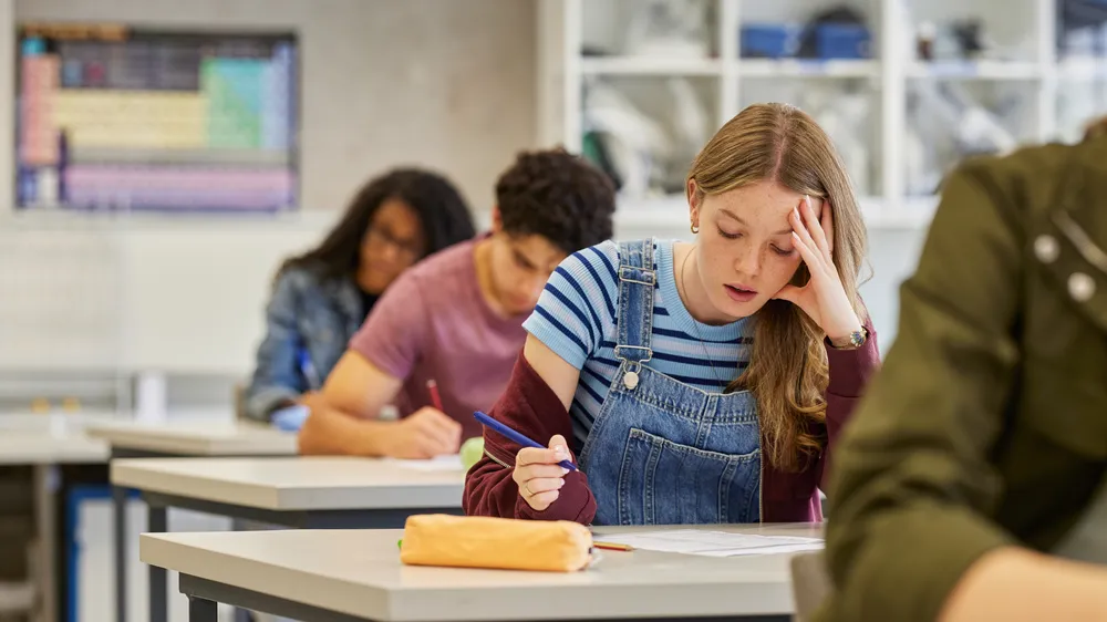 Netherlands’ €2 Billion Investment in Reading and Math Fails to Deliver Results