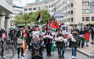 From Protests to Impact: Strategic Lessons from Sweden’s Peace Movements