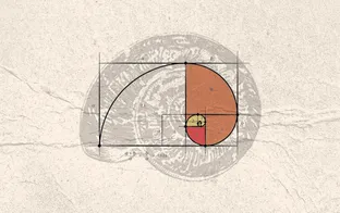 Eğitim Politikalarında “Altın Oran” OECD Ortalamaları mı?