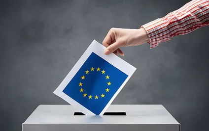 Social Dynamics in the EU and the Rise of the Far-Right