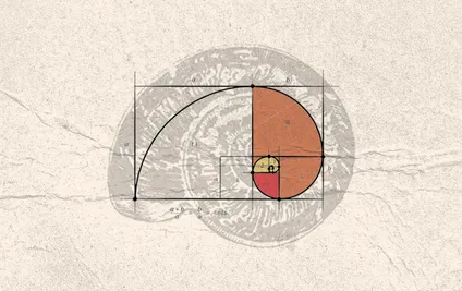 Eğitim Politikalarında “Altın Oran” OECD Ortalamaları mı?
