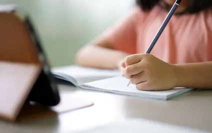 Amsterdam'da “Freelance” Öğretmen Dönemi Sona Eriyor