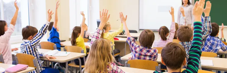 OECD 2024 Eğitim Raporu